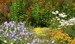 blommor...