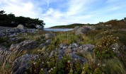 Särö Västerskog...