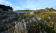 Särö Västerskog...