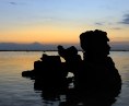 Korraller vid ebb i solnedgång mot Bali
