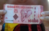 elefantpengar...