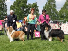 BIM i Norgen på Drammen INT. Norsk Champion, Int Champion , Dansk Champion denna dagen! De var 47st collie va anmälda BIM i Norgen på Drammen INT. Norsk Champion, Int Champion , Dansk Champion denna dagen! De var 47st collie va anmälda