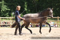 Christofer och Saxo på Frederiksborgsslott, Foto Christiane Slawik Christofer och Saxo på Frederiksborgsslott, Foto Christiane Slawik