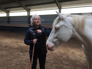 AnnCharlotte and her ponie Viva. Do i have to tell you, I LOVE CREMELLO PONIES :-) They did great during the clinic in Gotland. Playing in Liberty AnnCharlotte and her ponie Viva. Do i have to tell you, I LOVE CREMELLO PONIES :-) They did great during the clinic in Gotland. Playing in Liberty