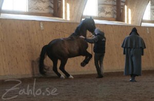 Bent Branderup is teaching Christofer who is practicing the levade with Nicki Corsai. Bent Branderup is teaching Christofer who is practicing the levade with Nicki Corsai.