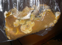 Hussvampskropp  (Serpula lacrymans)  är den farligaste virkesförstörare i hus.