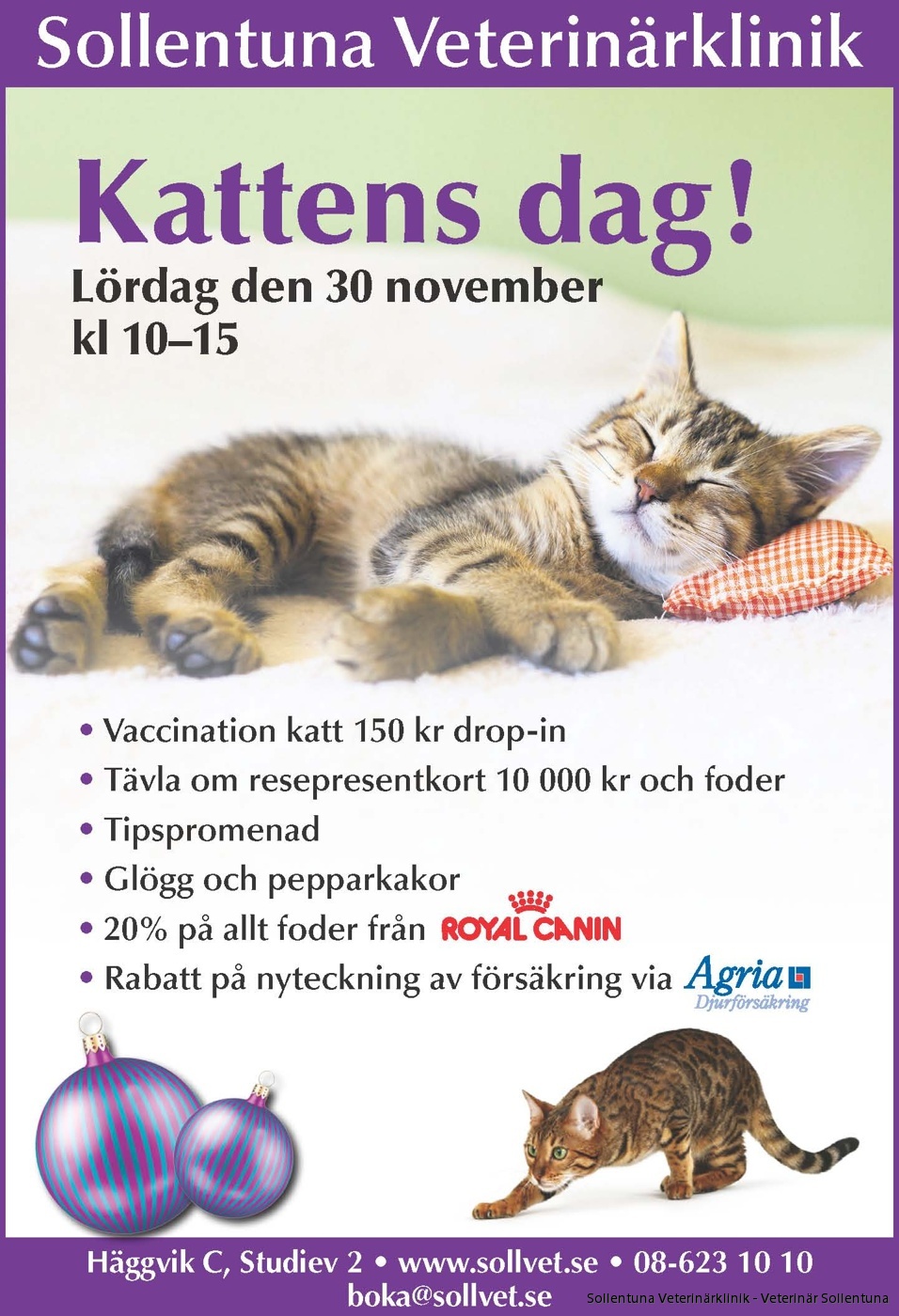 Kom på Kattens Dag den 30 nov! | Sollentuna Veterinärklinik - Veterinär Sollentuna