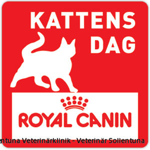 Forsendelse menneskemængde indlogering Fira Kattens Dag med oss den 28 November | Sollentuna Veterinärklinik -  Veterinär Sollentuna