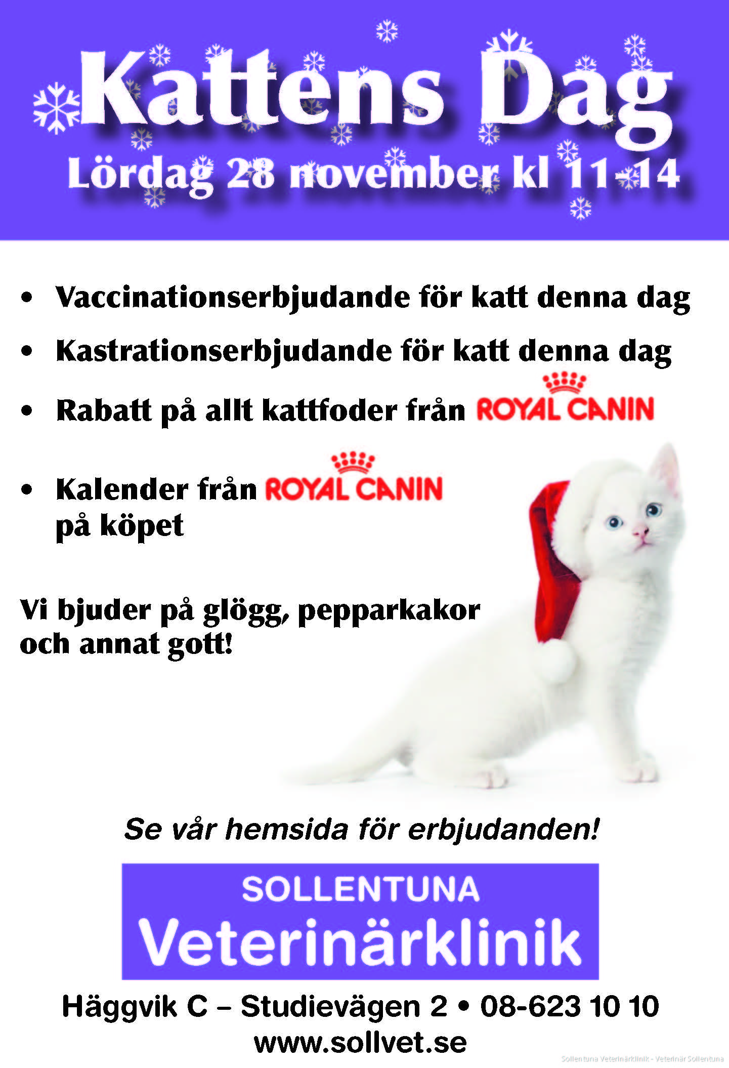 Slip sko præst Mystisk Kattens Dag 28 November 2015 | Sollentuna Veterinärklinik - Veterinär  Sollentuna