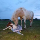 IMG_20170514_044004 IMG_20170514_044004