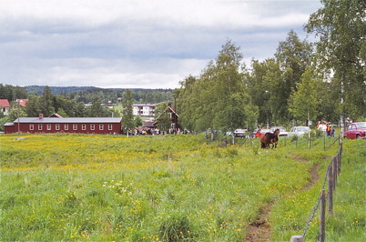 Juni 1975 - Auktion vid Hemvärnsgården i Töcksfors.