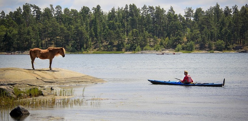 Bästa kajakstället Bästa kajakstället