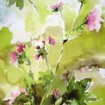 En-rosa-blomma-web