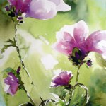 Lila-blomma-web