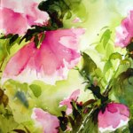 Rosa-malva-web