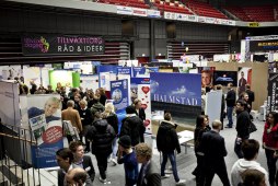 webbtillväxt12