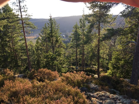 Utsikt från Tiaberget och "vår" skog Utsikt från Tiaberget och "vår" skog