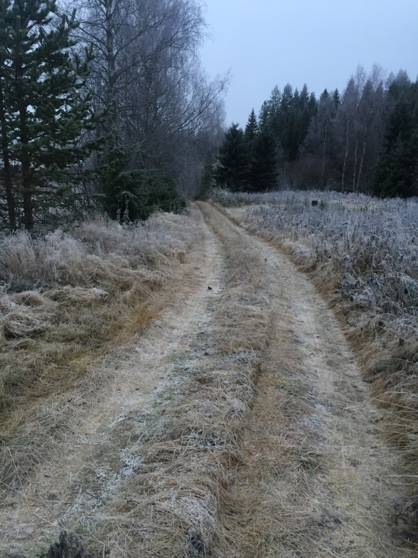 Vägen upp till huset, sett från huset. På torsdagskvällen har Uffe slagit gräset på och runt vägen för att bilen inte ska bli repig. Vägen upp till huset, sett från huset. På torsdagskvällen har Uffe slagit gräset på och runt vägen för att bilen inte ska bli repig.