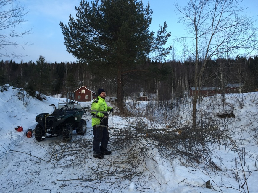 Vi börjar röja till höger om uppfartsvägen till huset. Mycket sly. Slutet januari. Vi börjar röja till höger om uppfartsvägen till huset. Mycket sly. Slutet januari.