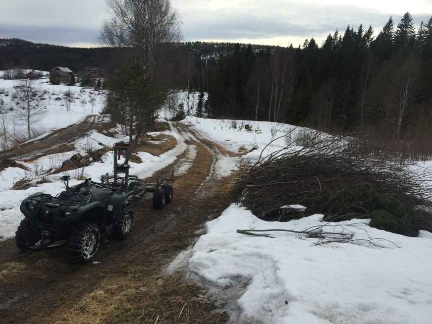Grizzly med vagnen på uppfartsvägen. Rishögen växer, på detta ställe har vi även tidigare eldat all inredning från huset. Grizzly med vagnen på uppfartsvägen. Rishögen växer, på detta ställe har vi även tidigare eldat all inredning från huset.