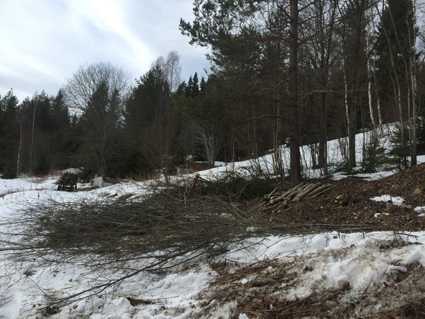LIlla skogsvägen bakom huset upp mot berget. Här har Martina redan börjat fälla, typiskt att man alltid glömmer ta "före"-bilder. Men på rishögens storlek kan man kanske ana hur det såg ut innan. I bakgrunden ser man resterna av den nedbrunna ladan och vår andra lilla vagn. LIlla skogsvägen bakom huset upp mot berget. Här har Martina redan börjat fälla, typiskt att man alltid glömmer ta "före"-bilder. Men på rishögens storlek kan man kanske ana hur det såg ut innan. I bakgrunden ser man resterna av den nedbrunna ladan och vår andra lilla vagn.