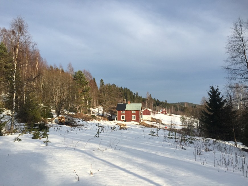 Här ser man båda grannarna längs med "vår" väg. Vi bor ju på solsidan så det är alltid lite varmare här än nere i dalen. Här ser man båda grannarna längs med "vår" väg. Vi bor ju på solsidan så det är alltid lite varmare här än nere i dalen.