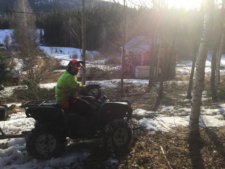 Uffe och Grizzly i backen vid elledningen. Uffe och Grizzly i backen vid elledningen.