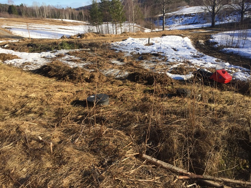 I förgrunder ser man hur det såg ut före krattning, i bakgrunden efter. I förgrunder ser man hur det såg ut före krattning, i bakgrunden efter.
