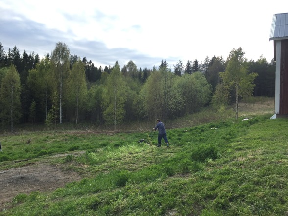 2016-05-22 Uffe klipper gräset 2016-05-22 Uffe klipper gräset