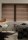 SI_0053[small]