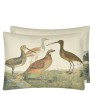 John Derian Kudde BIRDS OF A FEATHER PARCHMENT 60x45 CCJD5060 (2-PACK) Kampanj 25% rabatt på hela köpet över 5000 kr (gäller ej rea och tyger) KOD. GTGYTKXL - 2-pack Kuddar med rabatt