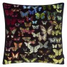 Christian Lacroix Kudde COSMOS EDEN MULTICOLORE 50x50 cm CCCL0611 (2-PACK) Kampanj 25% rabatt på hela köpet över 5000 kr (gäller ej rea och tyger) KOD. GTGYTKXL - Visar Kudde baksida