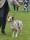 UTST250517_041