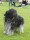 UTST250517_060