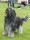 UTST250517_061