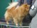 UTST250517_066