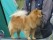 UTST250517_067