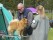 UTST250517_068