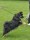 UTST250517_087