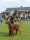 UTST250517_091