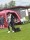 UTST250517_096