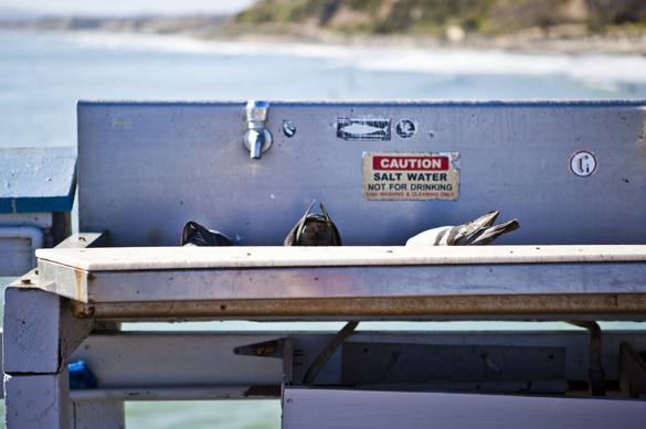 "Salt water, not for drinking". "Salt water, not for drinking".