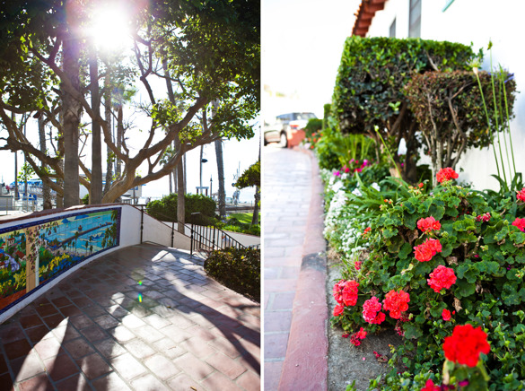Pelargoner, kakelkonst och en lågt stående sol som värmer. Tog vi eftermiddagen i Spanien? Pelargoner, kakelkonst och en lågt stående sol som värmer. Tog vi eftermiddagen i Spanien?