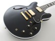 FGN Masterfield MSA-HP - Ebony fingerboard,Black