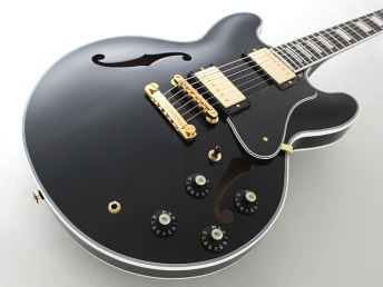 FGN Masterfield MSA-HP - Black, Ebony fingerboard