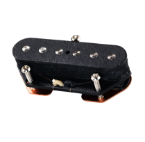 Lundgren Tele P-90