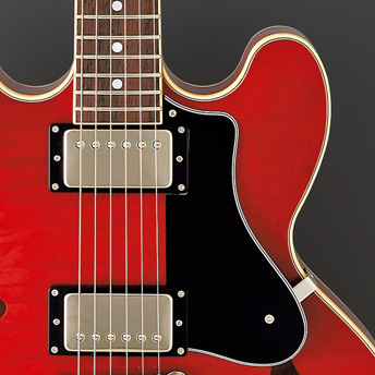 FGN Masterfield MSA-HP - Rosewood fingerboard,Cherry