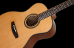 Dowina Rustica GA - Solid Cedar Top/Electronics