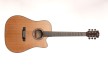 Dowina Rustica D - Dreadnought Cutaway & electronics