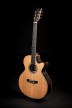 Dowina Danubius - Grand Auditorium Cutaway & electronics Dolomite Spuce